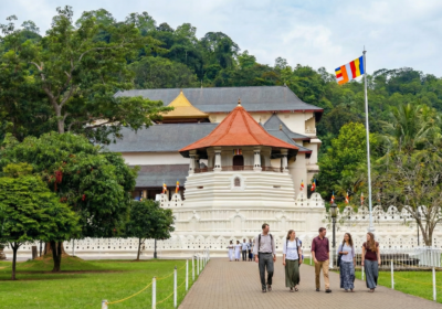 Finding Your Why: How the 2026 “Walk for Peace” is Redefining Spiritual Travel to Sri Lanka