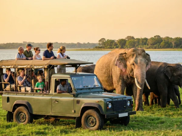 11-Day Big Game Safari Expedition