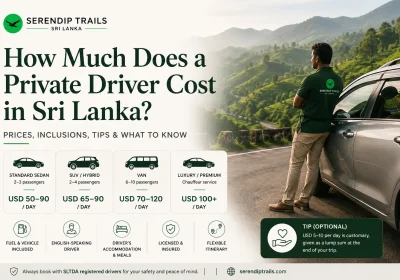 How Much Does a Private Driver Cost in Sri Lanka?