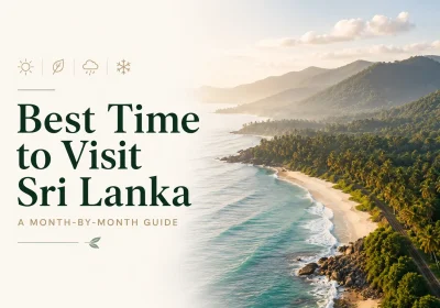 Best Time to Visit Sri Lanka: A Month-by-Month Guide